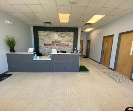 Nova Animal Hospital