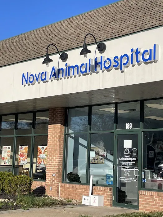 Nova Animal Hospital Picture 7