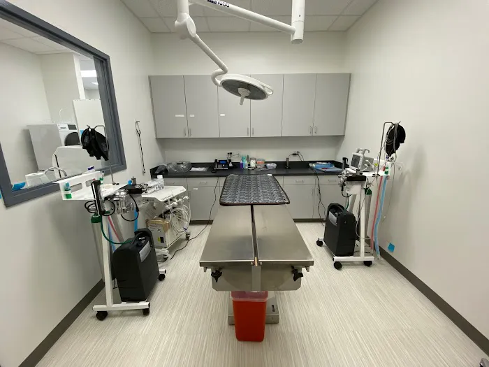 Nova Animal Hospital Picture 8