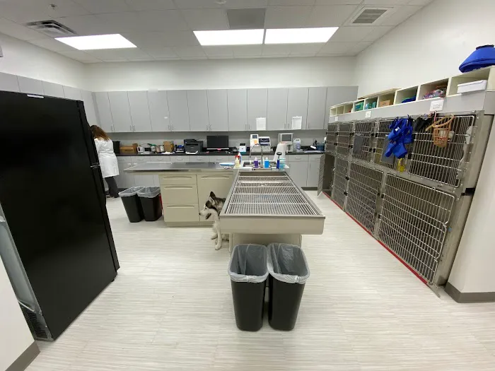 Nova Animal Hospital Picture 6