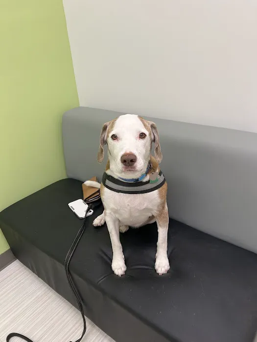 Nova Animal Hospital Picture 5