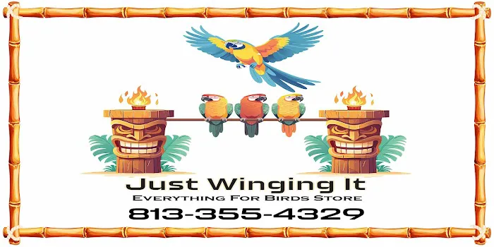 Just winging it zhills Picture 8