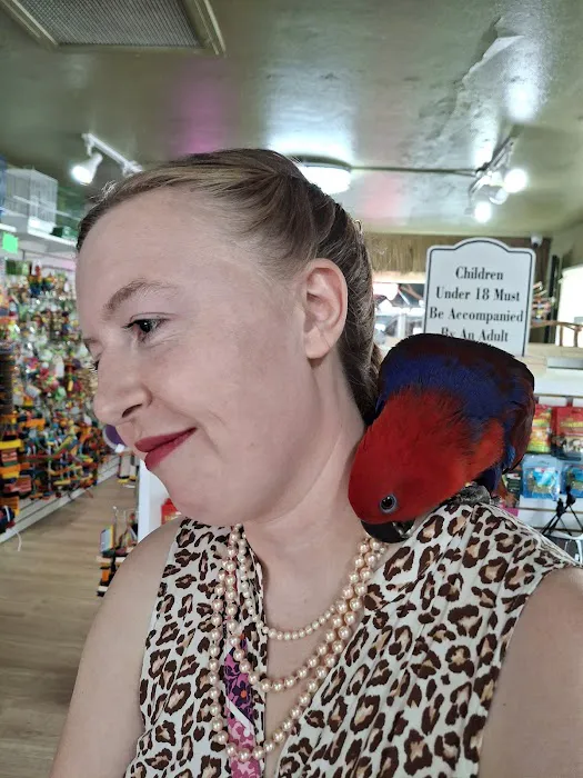 Just winging it zhills Picture 7