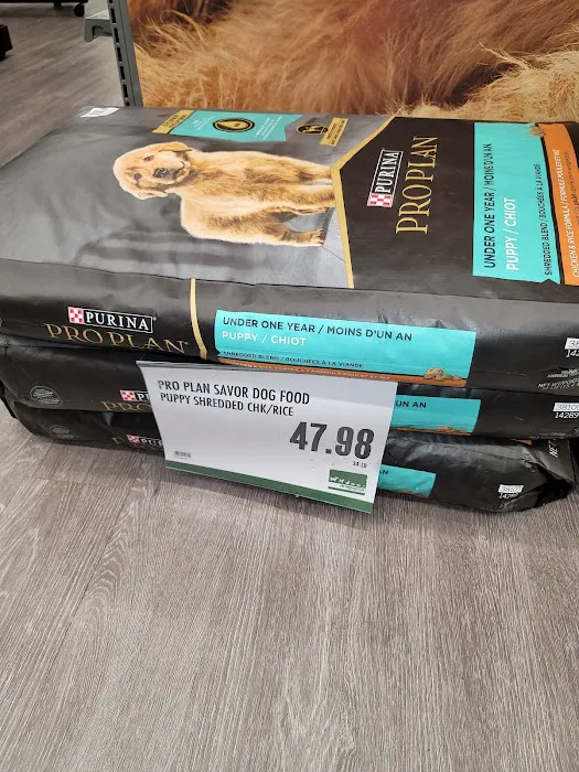 Pet Supplies Plus Zephyrhills Picture 2
