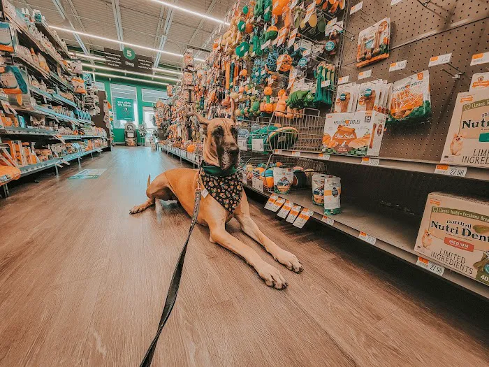 Pet Supplies Plus Zephyrhills Picture 7
