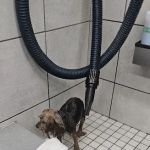 Pet Supplies Plus Zephyrhills