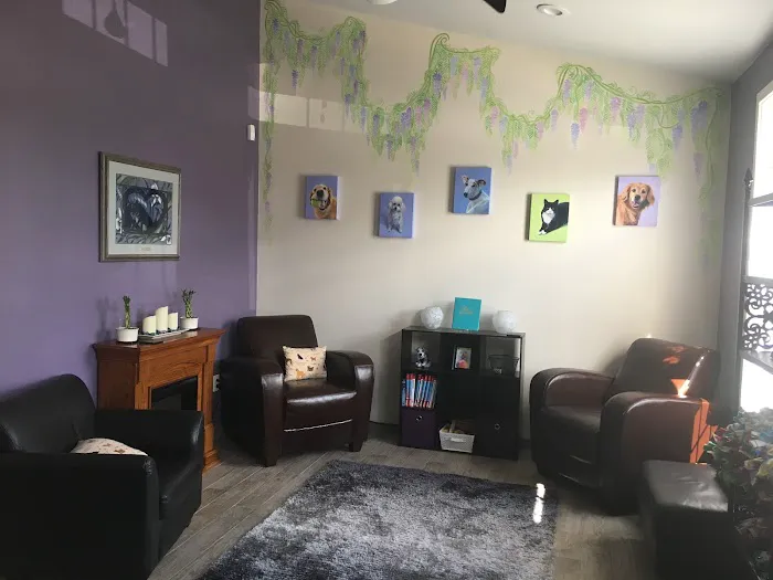 Wholistic Paws Veterinary Services Picture 5