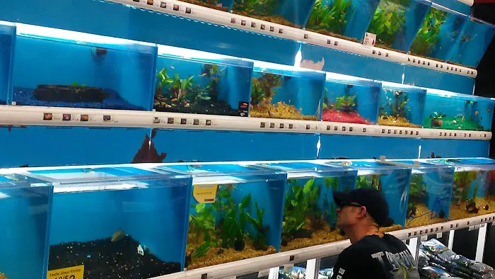Pet Supermarket Picture 6