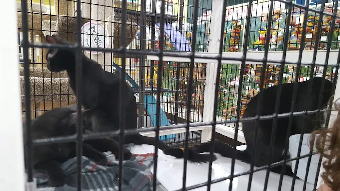 Pet Supermarket Picture 1