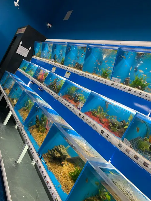 Pet Supermarket Picture 5