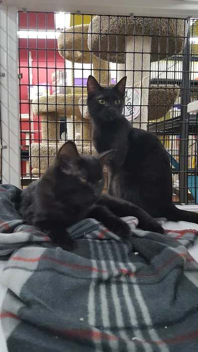 Pet Supermarket Picture 2