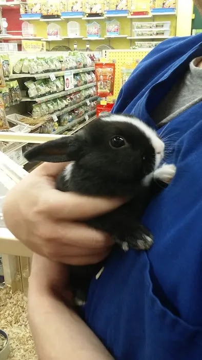 Pet Supermarket Picture 8