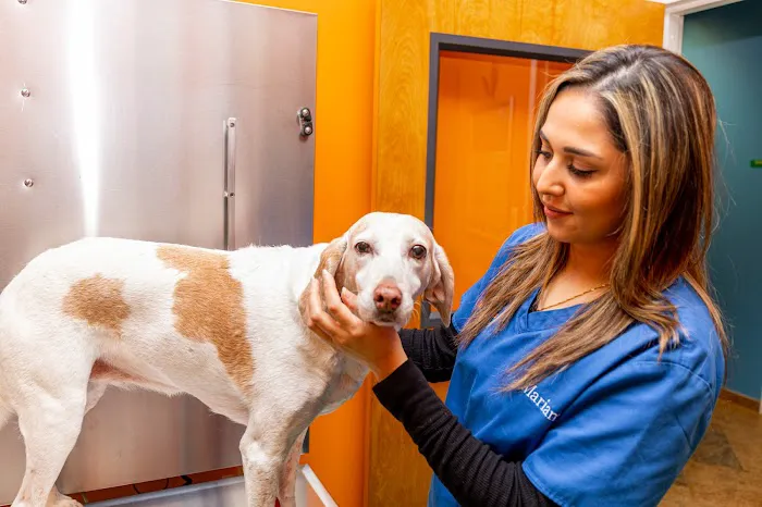 Nova Pets Health Center Picture 1