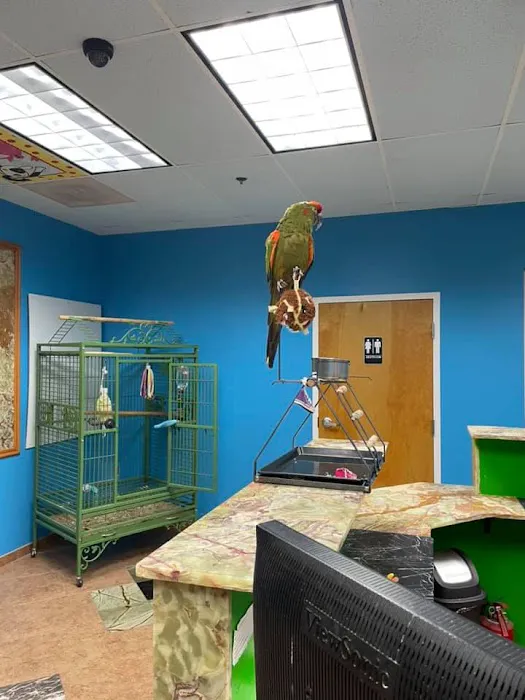 Nova Pets Health Center Picture 8