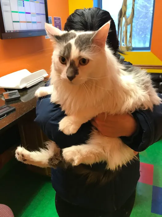 Nova Pets Health Center Picture 10