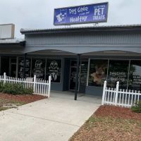 Dog Gone Healthy ico