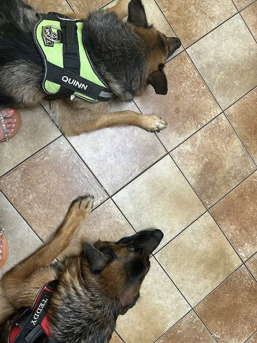 Banfield Pet Hospital Picture 1