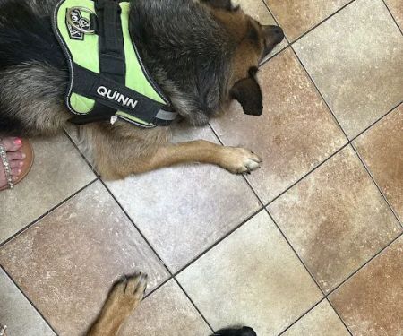 Banfield Pet Hospital