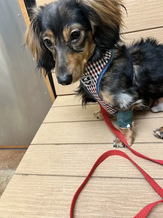 Banfield Pet Hospital Picture 6