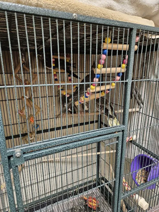 Banfield Pet Hospital Picture 7