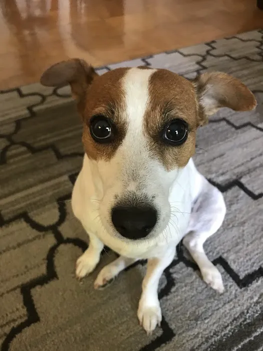 Sully Animal Hospital Picture 10