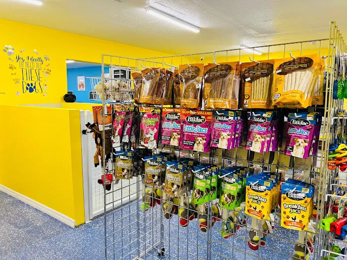 Puppy Boutique of Lake Hamilton Picture 5