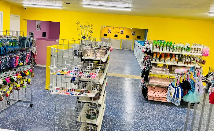 Puppy Boutique of Lake Hamilton Picture 4