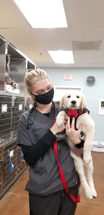 Veterinary Outpatient Surgical Center Picture 8