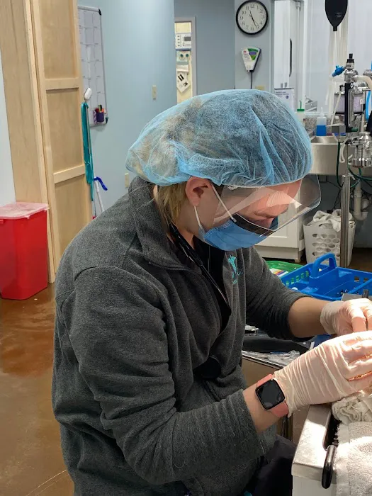Veterinary Outpatient Surgical Center Picture 6