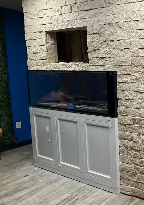 Atlantis Coral Reef Supply (CALL TO MAKE AN APPOINTMENT) Picture 10
