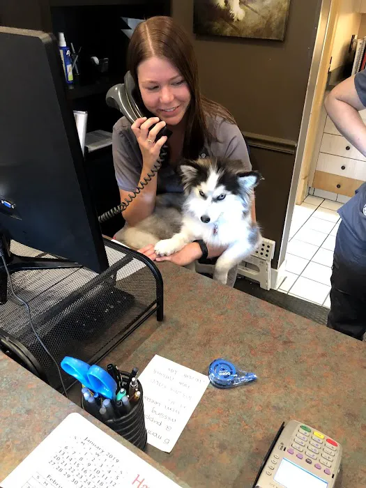 Ashburn Veterinary Hospital Picture 9
