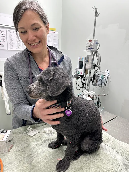 Animal Medical Centers of Loudoun - Ashburn Picture 8
