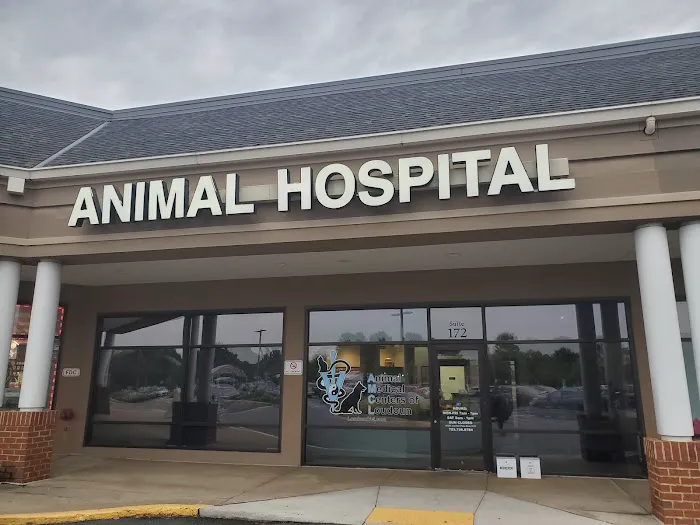 Animal Medical Centers of Loudoun - Ashburn Picture 2