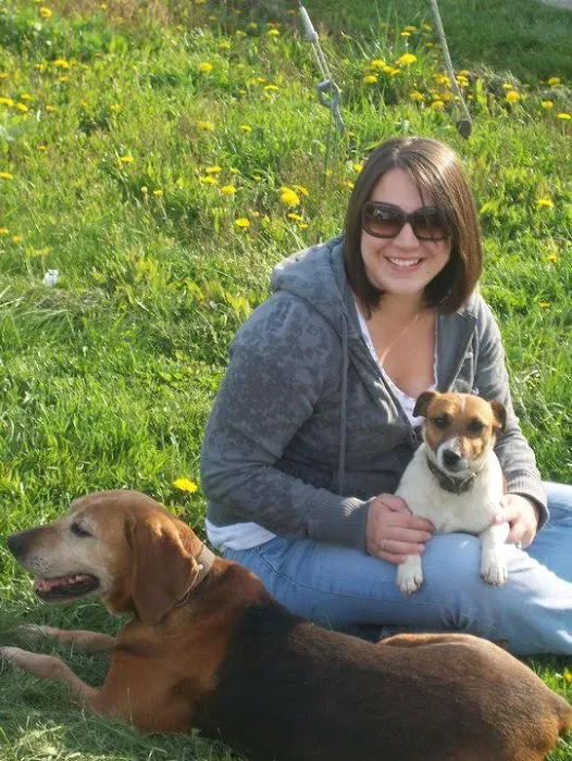 Animal Medical Centers of Loudoun - Ashburn Picture 3
