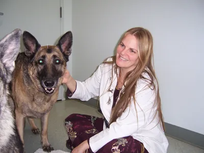 Animal Medical Centers of Loudoun - Ashburn Picture 6