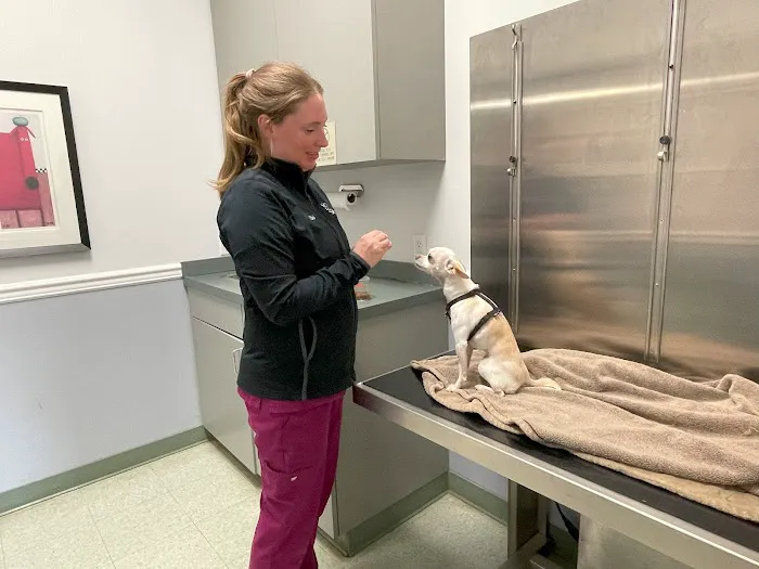 Animal Medical Centers of Loudoun - Ashburn Picture 7