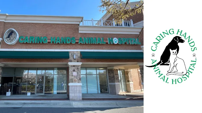 Caring Hands Animal Hospital - Ashburn Picture 10