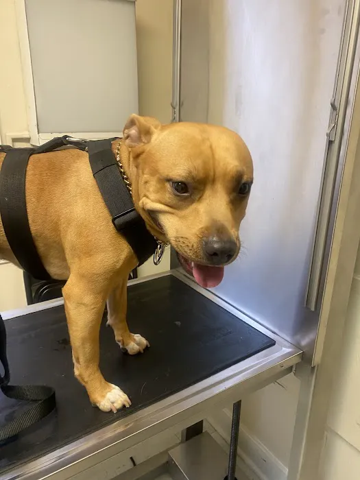 Animal Medical Center Of Warrenton Picture 6