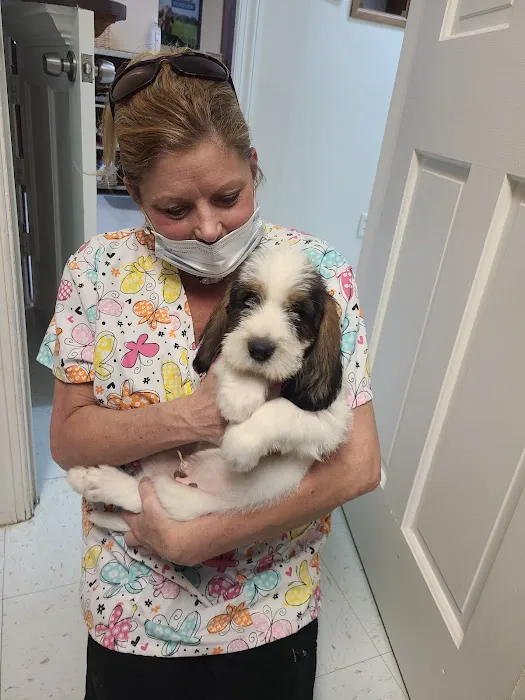 Animal Medical Center Of Warrenton Picture 8