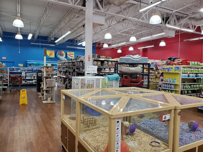 Pet Supermarket Picture 6