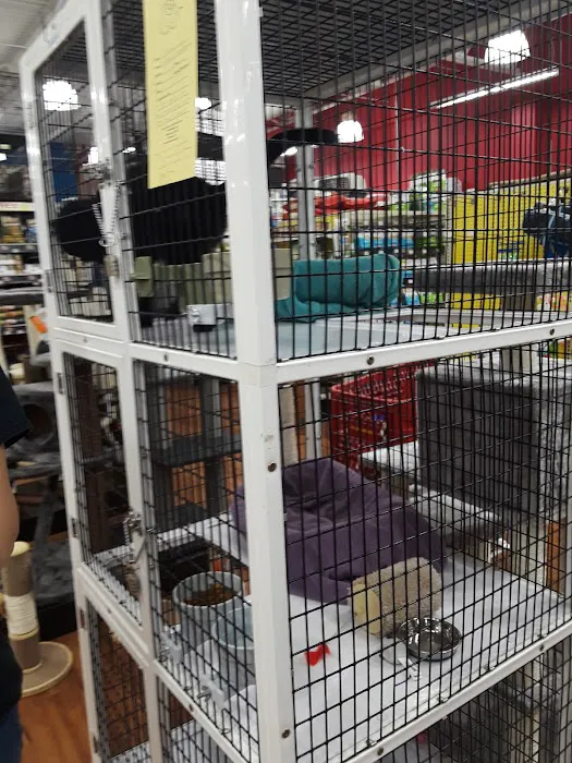 Pet Supermarket Picture 3