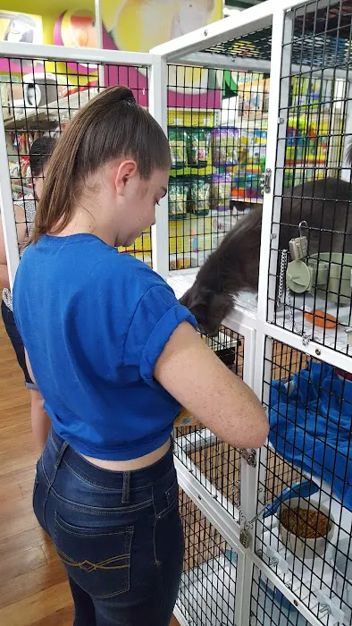 Pet Supermarket Picture 2