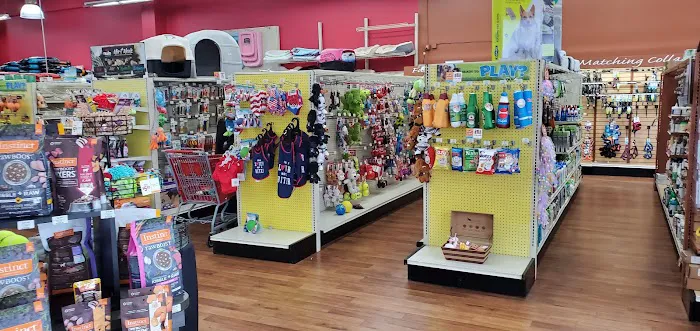 Pet Supermarket Picture 7