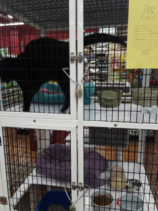 Pet Supermarket Picture 4
