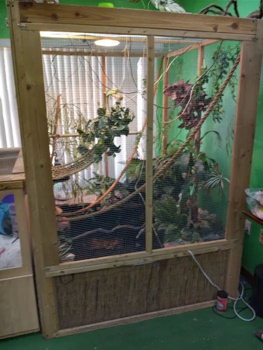 Treasure Cove Pet shop Picture 3