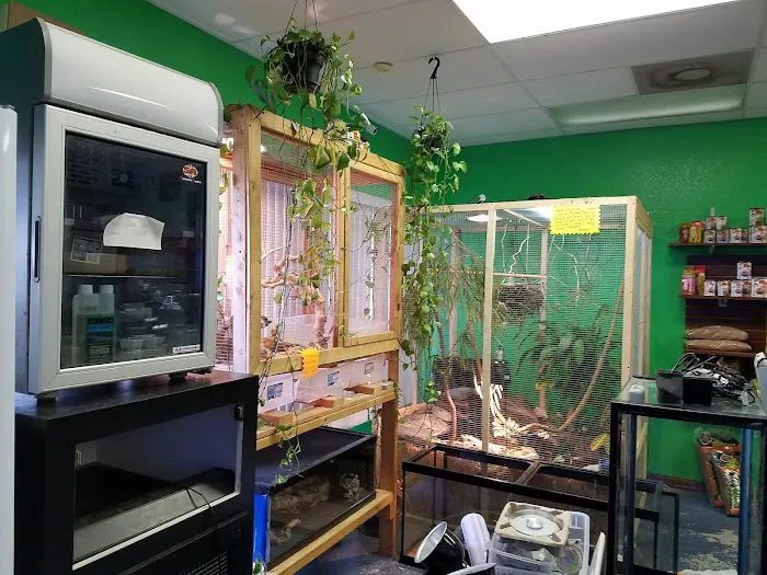 Treasure Cove Pet shop Picture 5