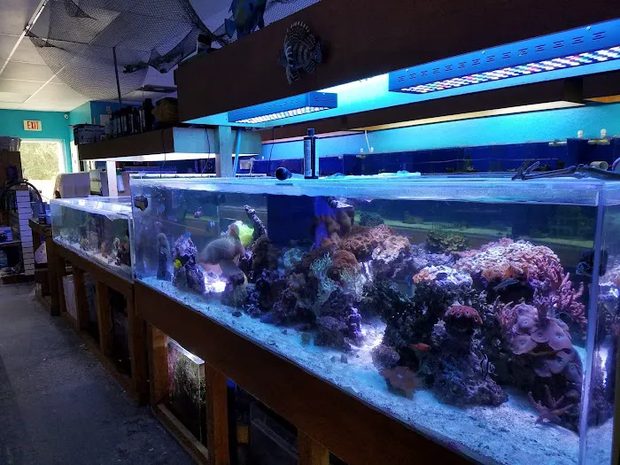 Treasure Cove Pet shop Picture 9