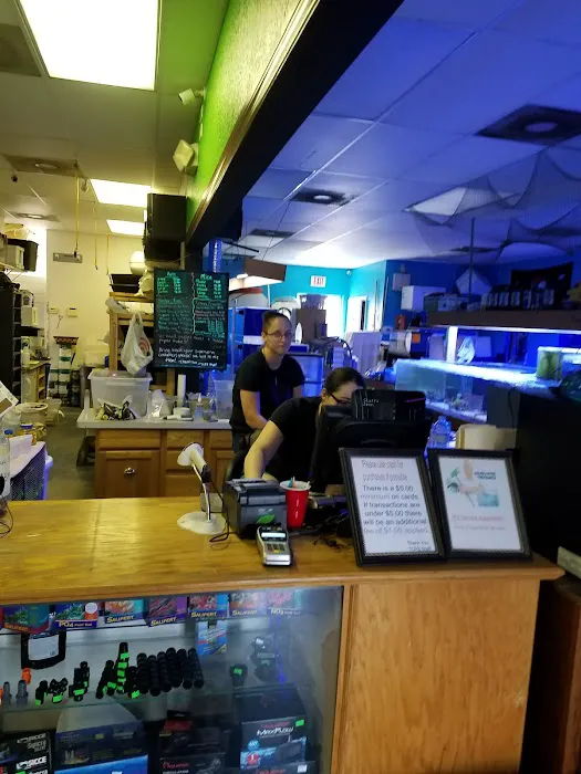 Treasure Cove Pet shop Picture 10