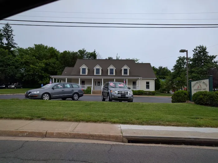 Piedmont Pets Veterinary Care Picture 2