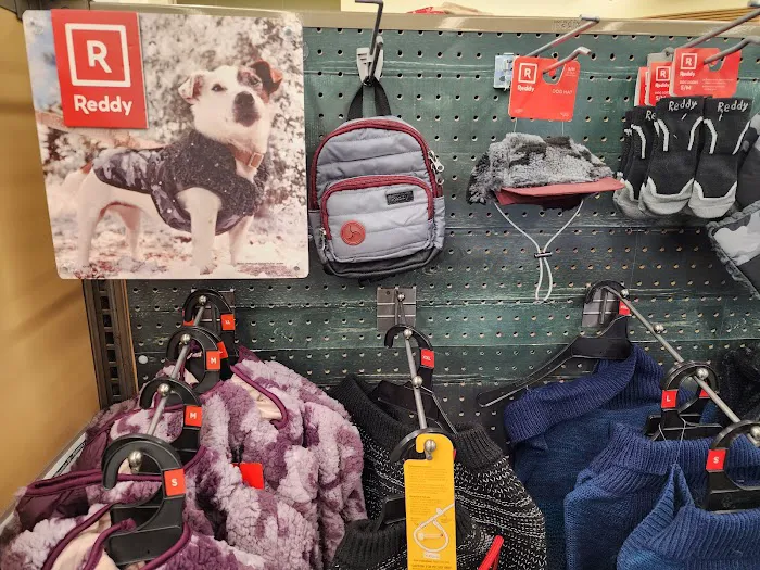 Petco Picture 3
